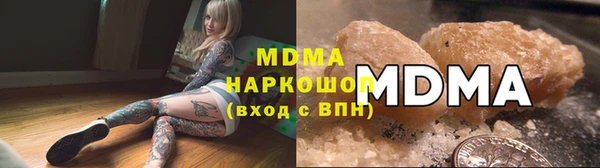PSILOCYBIN Алзамай