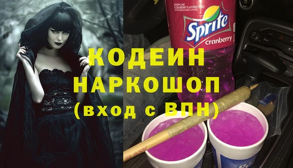 PSILOCYBIN Алзамай
