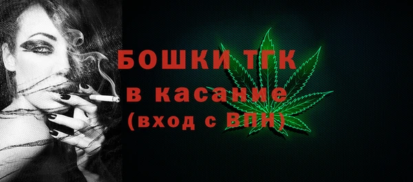 PSILOCYBIN Алзамай