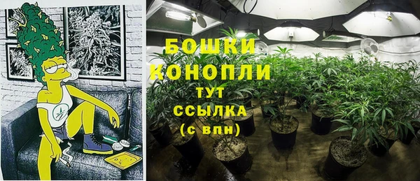 PSILOCYBIN Алзамай